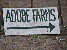 Adobe Pumpkin Farms