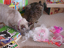 Lots of toys for Allie & Lily