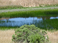 Smaller pond on the trail.