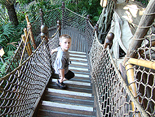 Hunter in Tarzan's Treehouse