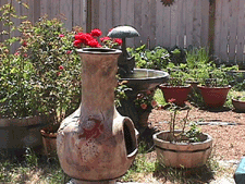 Chiminea and roses...
