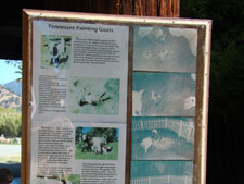 Tennessee Fainting Goats sign