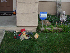 Some of the outdoor decorations.