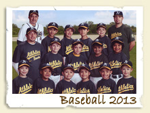 Baseball Page - 2013