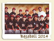 Baseball Page - 2014