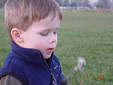 Hunter trying to blow away a Dandelion.