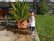 Hunter watering the plants...