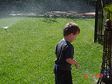 Hunter cools down in the sprinklers