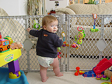 Hunter standing inside his cage.
