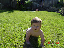 Hunter crawling on the grass.