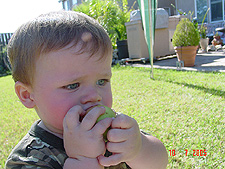 Hunter eating an apple from our tree.