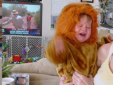 A very angry lion.