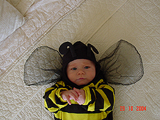 Hunter in his bee costume.