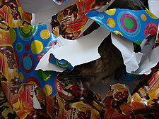 Lily playing in the wrapping paper