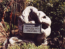 Mendocino Botanical Gardens