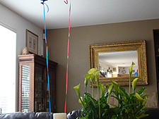 Balloons for the boys and Cala Lillies for mom.