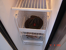 Dave keeps cool by chilling his hat in the freezer...