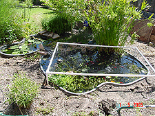 Existing pond with flagstone and some plants removed.