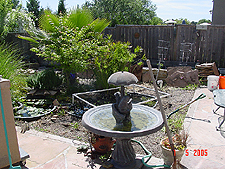 Existing pond with flagstone and some plants removed.