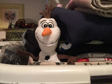 Hug and Find Olaf