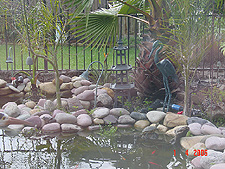 Pond, April 2006