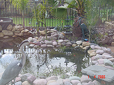 Pond, April 2006