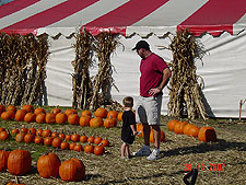 Hunter and Dave looking for pumpkins