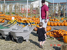 Hunter and Dave looking for pumpkins