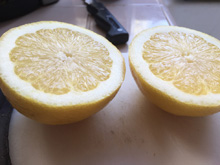 lemons from our tree