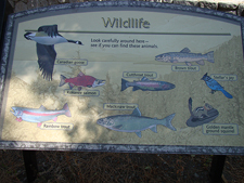 wildlife sign