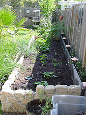 Our new vegetable garden just getting started...
