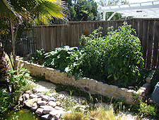 Vegetable Garden, July 2010