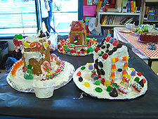 some of the finished houses