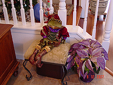 Frog and lavender pointsettias
