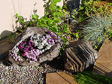 Rock planted with flowers.
