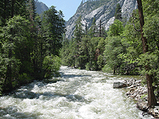 The Merced River at high levels from melting Winter snow...
