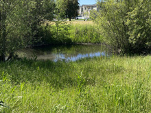 Roseland Creek Trail