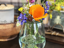 Roseland Creek Trail