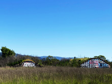 Roseland Creek Trail