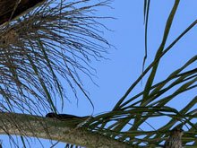 fall