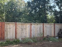 fence