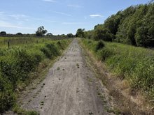 Roseland Creek Trail