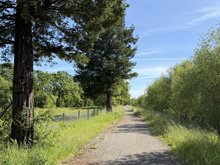 Roseland Creek Trail