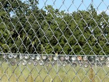 Roseland Creek Trail