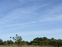 Roseland Creek Trail