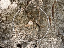 Roseland Creek Trail