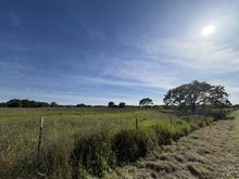 Roseland Creek Trail