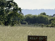 Roseland Creek Trail