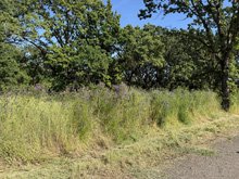 Roseland Creek Trail