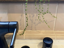 sink accessories